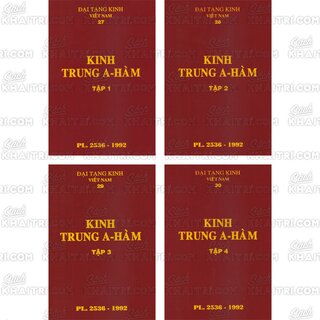 Đại Tạng Kinh: A-hàm Hán Tạng (Trọn Bộ 13 Cuốn - Bản Màu Nâu)