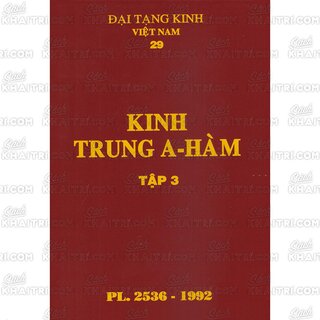 Đại Tạng Kinh: A-hàm Hán Tạng (Trọn Bộ 13 Cuốn - Bản Màu Nâu)