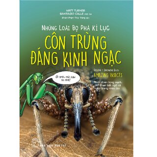 Những Loài Bọ Phá Kỉ Lục - Côn Trùng Đáng Kinh Ngạc